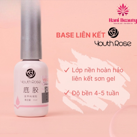 Base Hoa Hồng