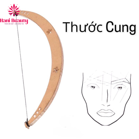 Cung Chỉ