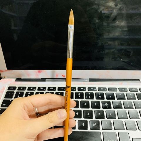 Cọ Số 2 Ezlow