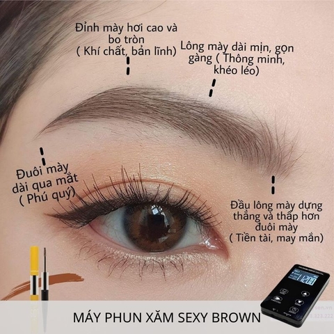 Máy Sexy Brown Ver Mới