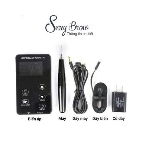 Máy Sexy Brown Ver Mới