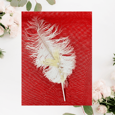 Set Lưới Chụp Hình