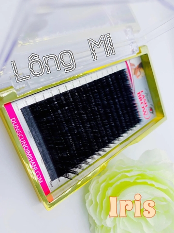 Mi Khay Iris ( CC / 0.03->0.10 )