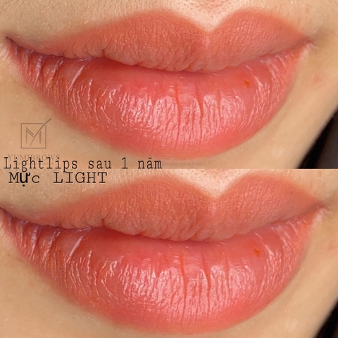 Mực Xăm Light