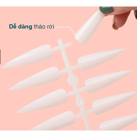 Móng Mẫu Nhọn