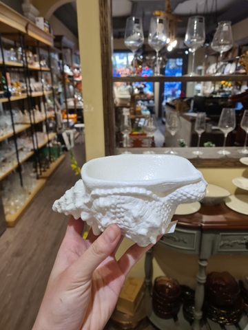 Chén ốc gai vàng 16x9.5cm tuyết trắng