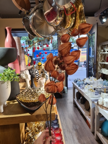 Đèn lồng caramel