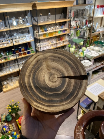 Tấm Gỗ Nứt Tự Nhiên 16-18cm