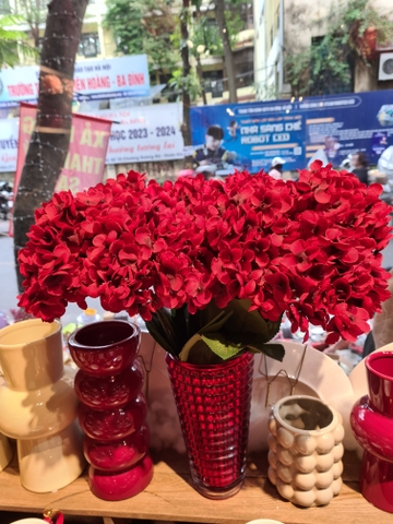 Cành cẩm tú cầu