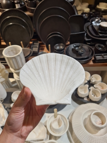 Dĩa sò điệp 14 x 12 cm tuyết trắng