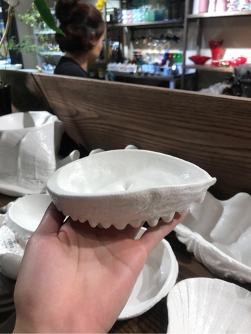 Dĩa Bào ngư 15 cm tuyết trắng