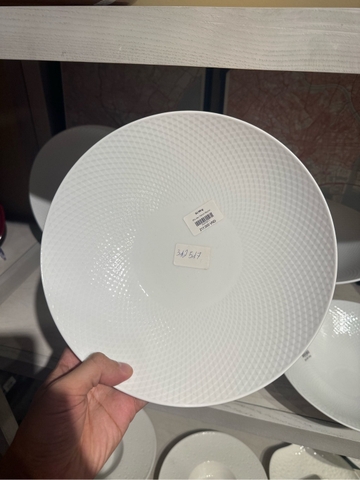 Đĩa sâu 10inch Skynet