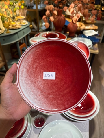 Đĩa Ảo 8.5inch Trăng Đỏ