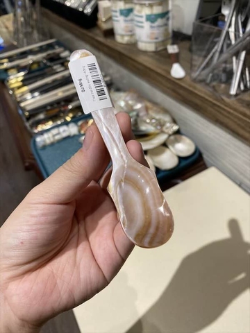 Thìa trai đầu vuông