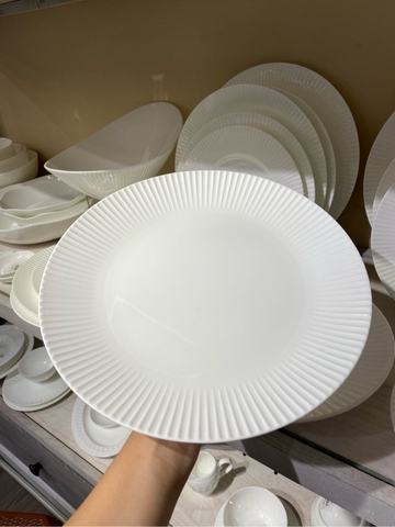 Đĩa ảo 10.5 Blossom