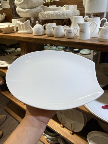 Đĩa cắt góc trắng trơn 9inch