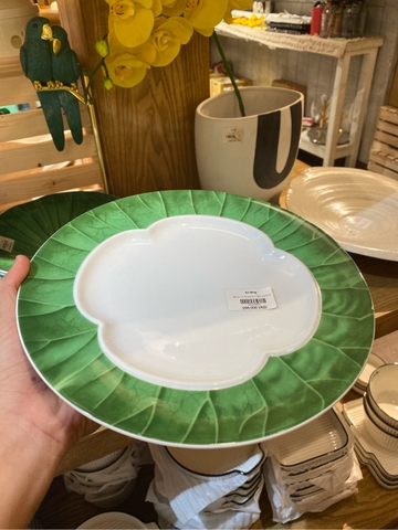 Đĩa ảo 10 lòng hoa vành xanh lá