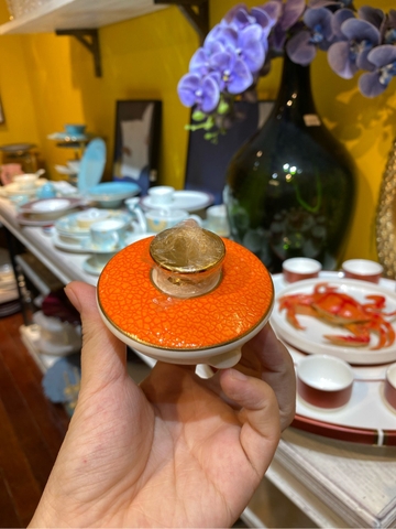 Nắp ấm trà sắc màu