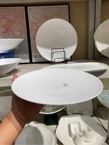 Đĩa nông 10 Skynet