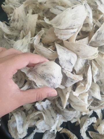 Xô Xếp Hộp Trắng đẹp