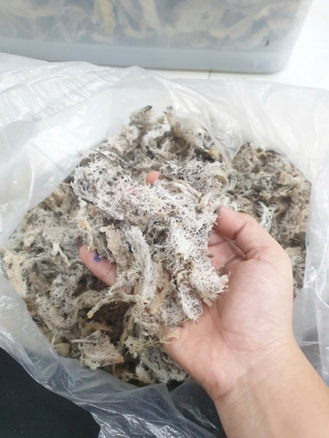 Vụn Sơ Mướp Trắng