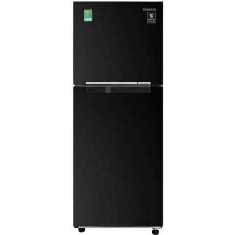 Tủ Lạnh Samsung Inverter 208 Lít RT20HAR8DBU/SV