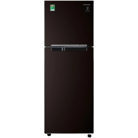 Tủ Lạnh Samsung Inverter 236 Lít RT22M4032BY/SV