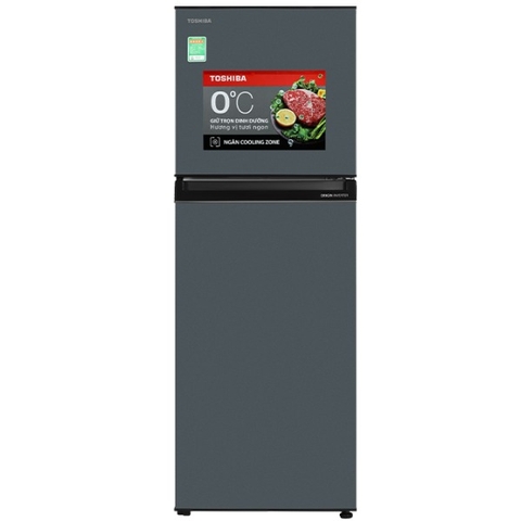 Tủ Lạnh Toshiba Inverter 233 Lít GR-RT303WE-PMV(52)