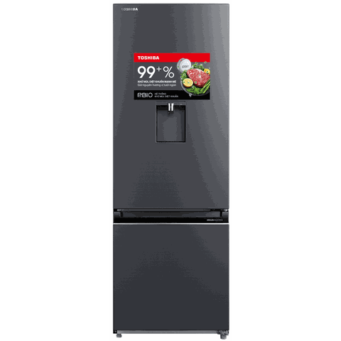 Tủ lạnh Toshiba Inverter 322 lít GR-RB405WE-PMV(06)-MG