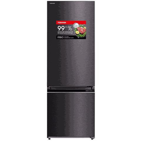 Tủ Lạnh Toshiba RB410WE-PMV (ngăn đá dưới)