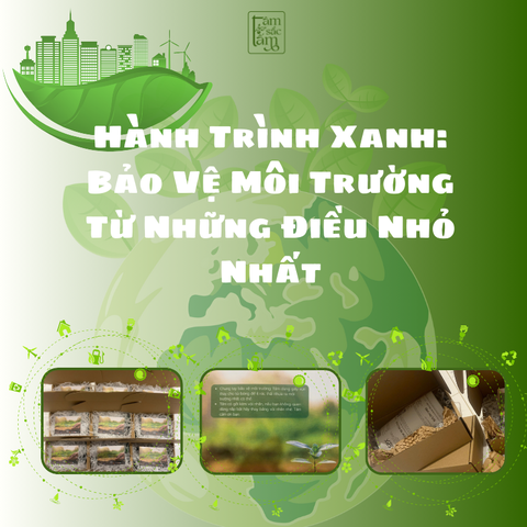Hành Trình Xanh: Bảo Vệ Môi Trường Từ Những Điều Nhỏ Nhất