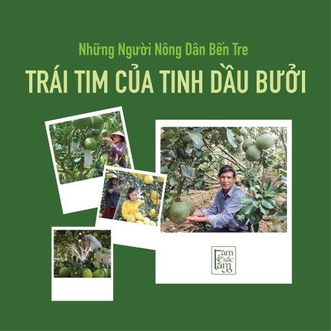Trái Tim Của Tinh Dầu Bưởi – Từ Vườn Quê Đến Mái Tóc Người Việt