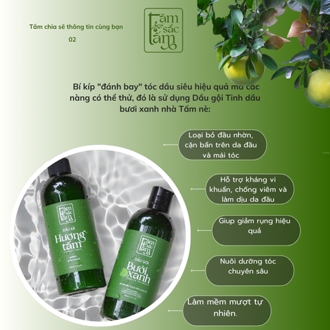 Da Đầu Nhờn – Tóc Bết Dính: Bí Kíp “Đánh Bay” Tóc Dầu Siêu Hiệu Quả