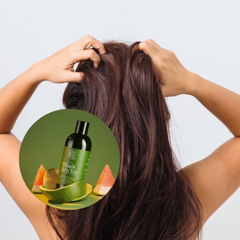 Gội Đầu Buổi Tối Hay Buổi Sáng Tốt Hơn Cho Da Đầu Dầu?