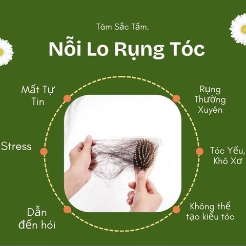 Rụng Tóc – Nỗi Lo Của Bao Người, Và Cách Dịu Dàng Để Tóc Mọc Lại Niềm Tin