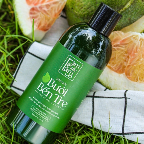 Cách Gội Đầu Đúng Cách Cho Người Tóc Nhờn, Da Đầu Dễ Gàu, Hay Bết