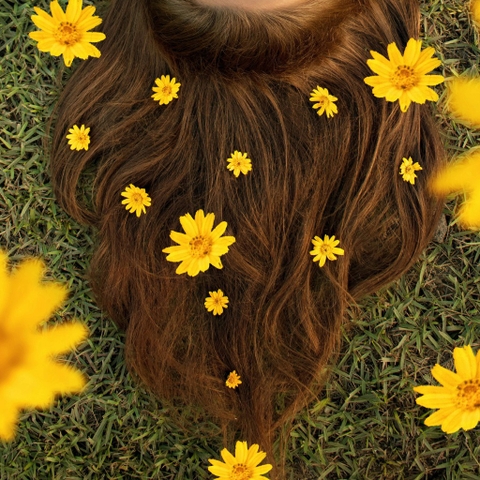 Dầu Gội Không Sulfate Có Làm Khô Tóc Không? Dùng Cho Tóc Bị Hư Tổn Được Không?