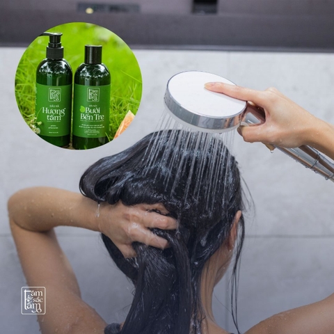 Da Đầu Vừa Dầu Vừa Gàu, Có Nên Gội Hằng Ngày Với Dầu Gội Dịu Nhẹ?