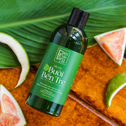 Da Đầu Dầu, Da Hỗn Hợp Nên Dùng Dầu Gội Gì? Có Nên Tránh Sulfate?