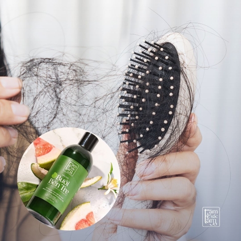 Dùng Dầu Gội Không Sulfate Có Giúp Giảm Rụng Tóc Do Da Đầu Yếu Không?