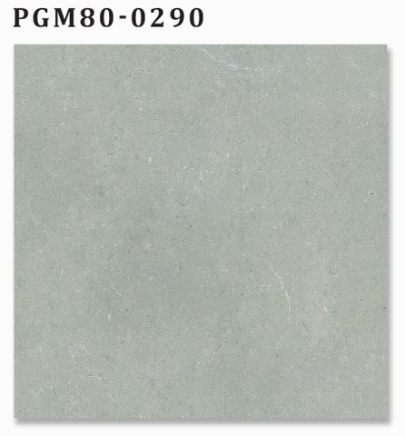 Gạch granite cao cấp Thạch Bàn PGM80-0290