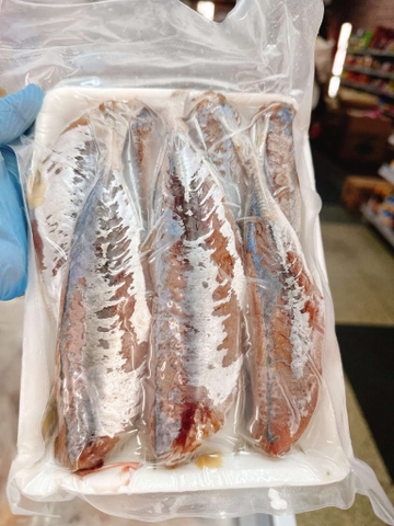 Cá Nục Lột Da ( To )