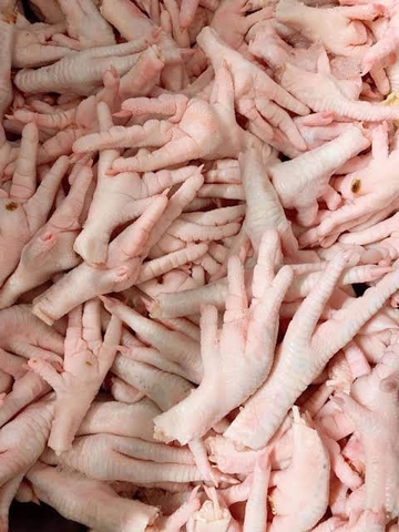 Chân Gà Ngắn 鳥フィート