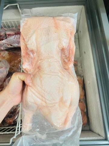 Vịt Không Đầu 1.6-1.7 (鴨)