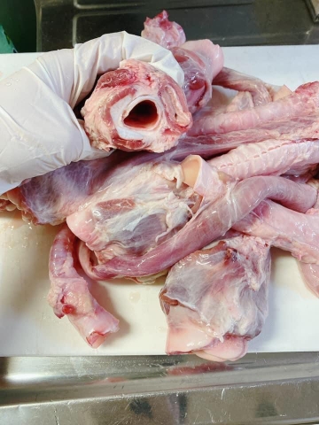 Cuống Họng 豚喉軟骨