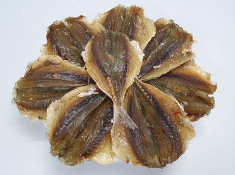 Cá Chỉ Vàng