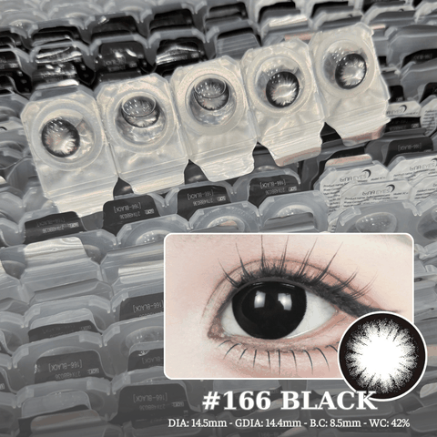 [1-DAY] 166 BLACK - Size to