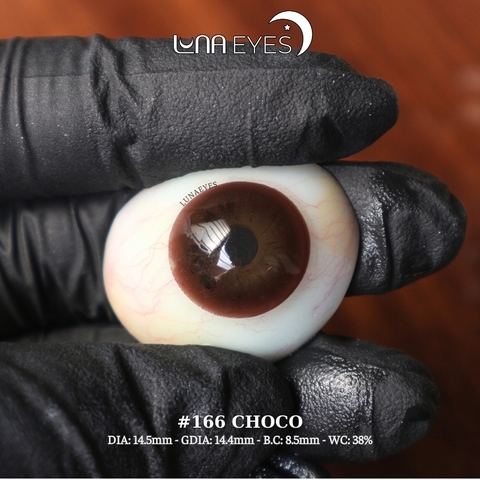 (HOT) 166 CHOCO - size to