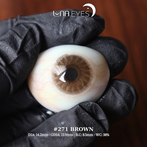 271 BROWN - size vừa