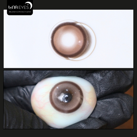 (HOT) FD-405 BROWN - size to
